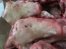 Frozen Pork Uteri,Frozen Pork heads(Pig Heads),Frozen Beef tails