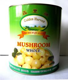 Canned Mushroom Whole in Tins Can