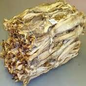 Norway Dry Stock Fish