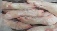 FROZEN PORK FRONT FEET AND HIND FEET