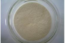 Xanthan Gum,Thickener (MUI Halal)