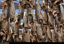 Dry Stock Fish Cod