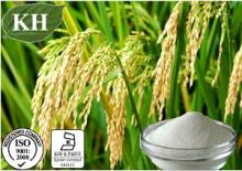 Rice Bran Extract Ferulic Acid 98% by HPLC