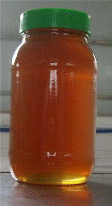 100% raw organic date honey