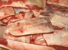 Quality Camel Meat