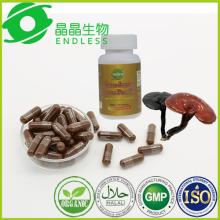 medicinal mushrooms organic and wild red  reishi   ganoderma  spore powder capsule