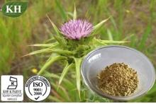 Milk Thistle Extract