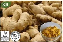  Ginger   Extract 
