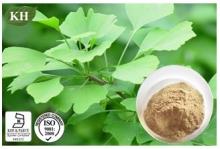 Ginkgo Biloba Extract