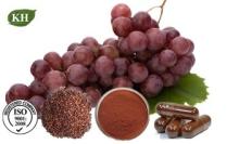  Grape   seed  extract