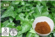  Ivy  Extract