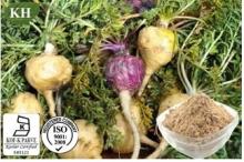  Maca   Extract 