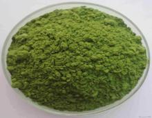 Buckwheat seedling powder