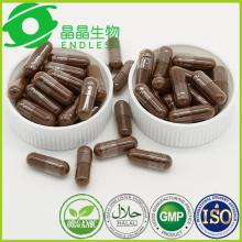 ganoderma lucidum extract lingzhi capsule