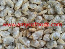 Frozen Short Necked Clam Meat Healthy seafood