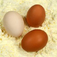 Quality Egg Powder