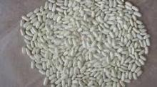 Natural White Kidney Bean
