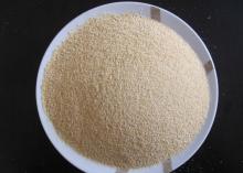 2014 crop white dehydrated garlic granules 8-16 mesh