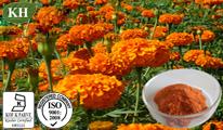 Marigold Extract: Lutein 5%, 10%, 20%, 80%, 90% (UV,HPLC)