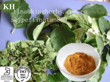 Birch Leaf Extract: 10: 1, 20: 1; Flavone 5%-10%