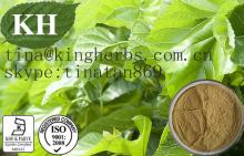 Mulberry Leaf Extract: 1-deoxynojirimycin (DNJ) 1% to 30% by HPLC