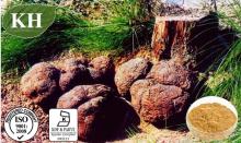 Poria Cocos Extract;Poria cocos polysaccharide 5%,20% ;Poriatin 2%