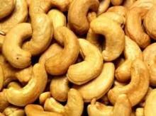  Cashew  Nut,Kernel