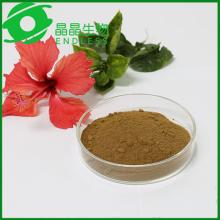 Chinese Herb Extract Supplier Astragaloside IV Cure Cancer