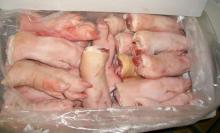 Frozen  pork   front   feet 