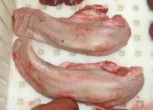 Frozen  pork   tongue s