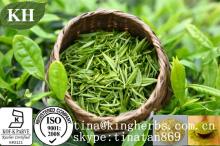  Green   Tea  Extract  Green   Tea  powder