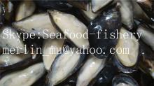 Copy of IQF Frozen  mussels   half   shell 