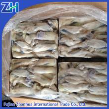 Frozen illex squid egg/roe