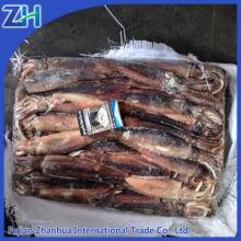 Frozen Argentina illex squid whole round in hot sale