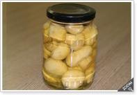 Canned Mushrooms fresh and quality mushrooms.
