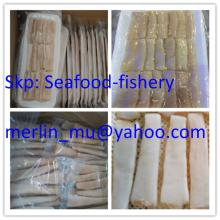  Geoduck 