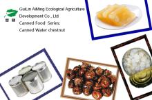 2015 New Crop Canned water chestnut slices