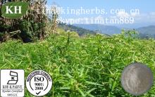 Andrographis Paniculata Extract:Andrographolide 5%, 30%, 50%, 95%, 98% by HPLC; 10:1; 4:1