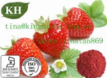Strawberry Powder Fruit Powder