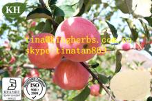 Apple Pectin Apple Extract