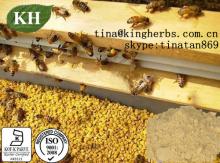 Bee Pollen