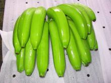 Fresh Cavendish Bananas