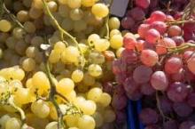 Fresh Grapes and all other Fruits for sale