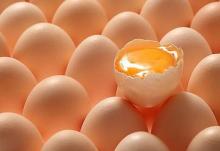 Factory direct supply Egg powder with competitive price and best quality