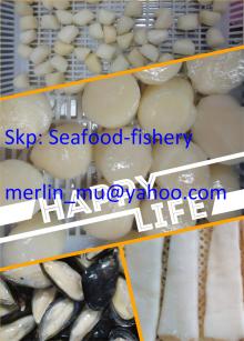 Frozen scallops adductor