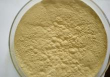Oolong Tea Extract