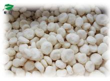 Frozen Water Chestnut;Frozen fruits;IQF water chestnut