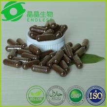 treat diabetes GMP dietary medicine capsule reishi mushroom extract