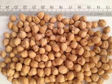 Ethiopian  Kabuli   Chick   Peas 