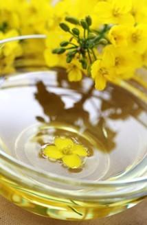 Export Vegetable cooking oils ,all kinds of beans,peanuts,sesame ,sunflower seed